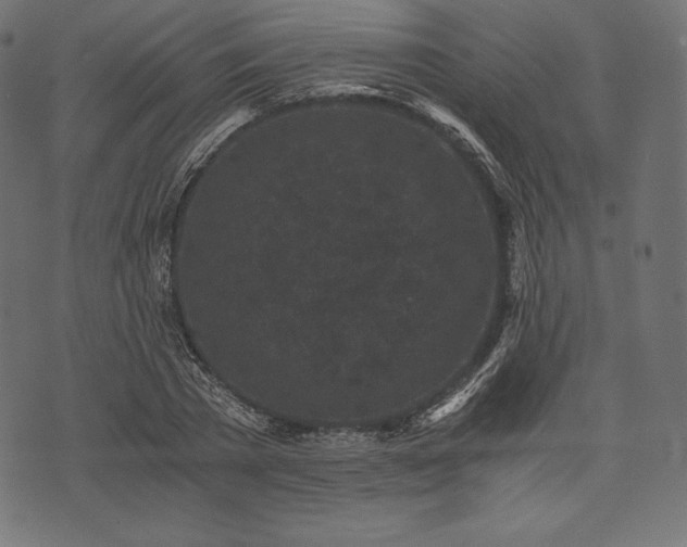 X0000073860785200608170941