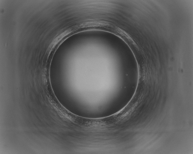 X0000073860786200608170941