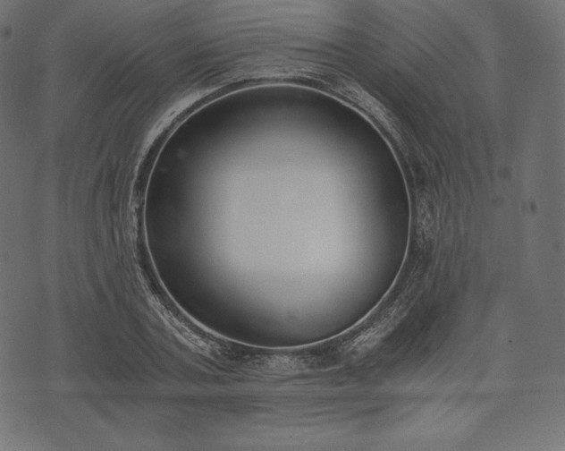 X0000073860787200608170941