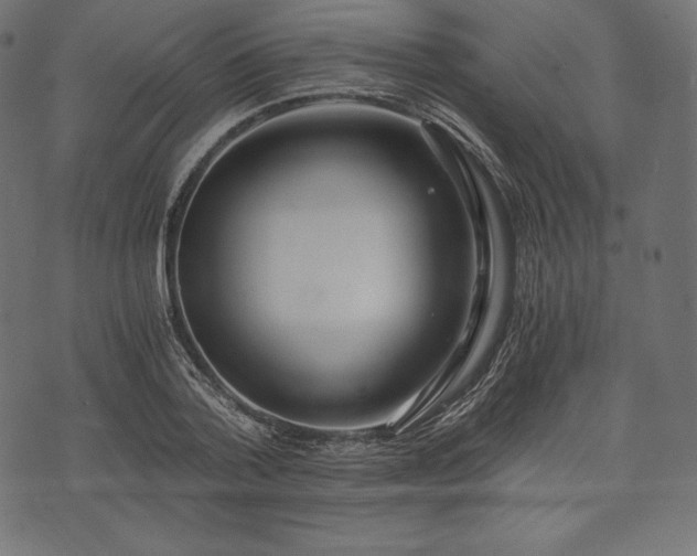 X0000073860788200608170941