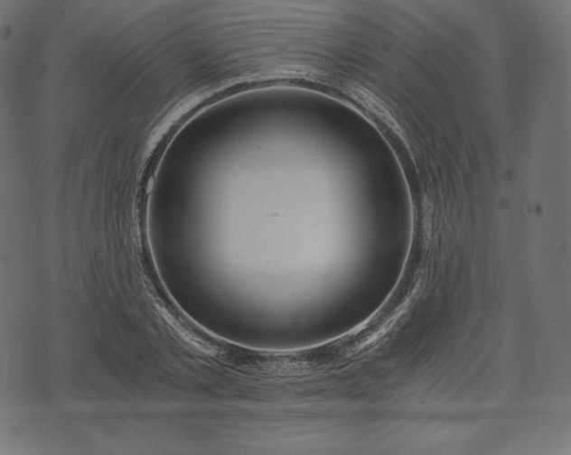 X0000073860789200608170941