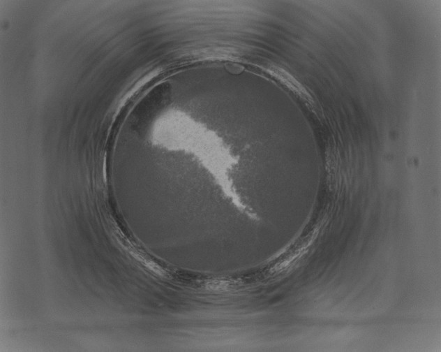 X0000073860790200608170941