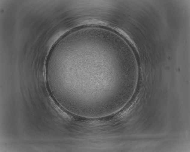 X0000073860791200608170941