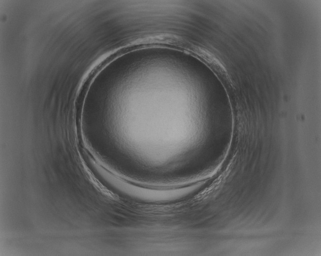 X0000073860792200608170941