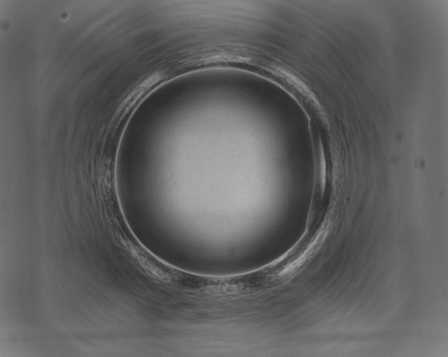 X0000073860793200608170941