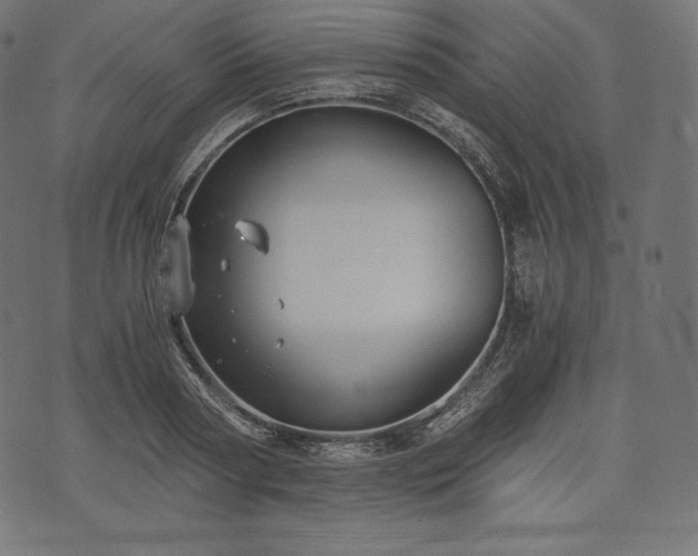 X0000073860794200608170941