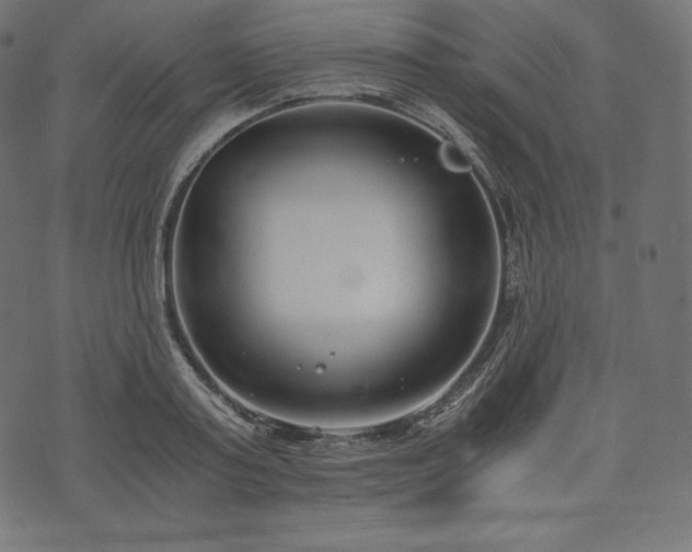 X0000073860795200608170941