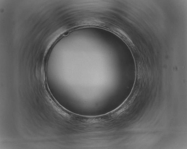 X0000073860796200608170941