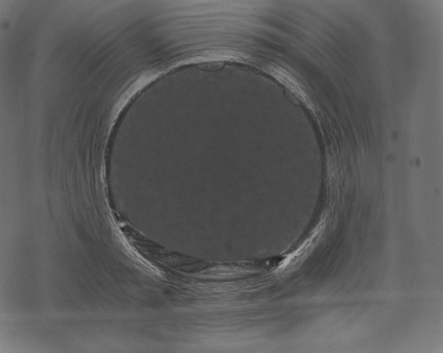 X0000073860797200608170941