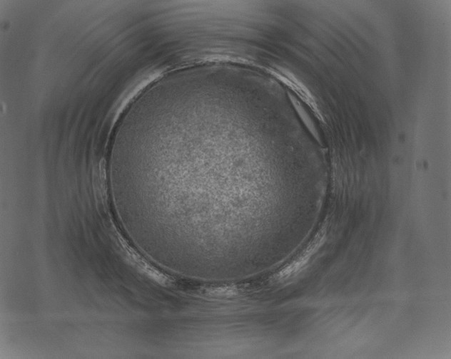 X0000073860798200608170941