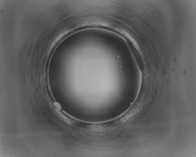 X0000073860799200608170941