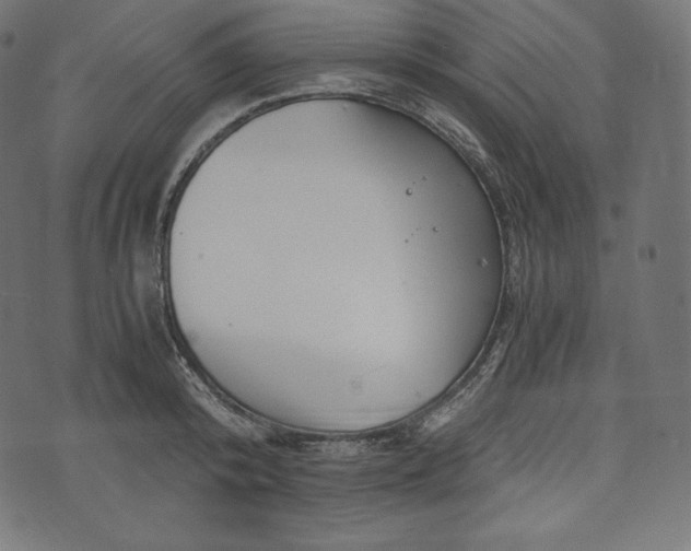 X0000073860800200608170941