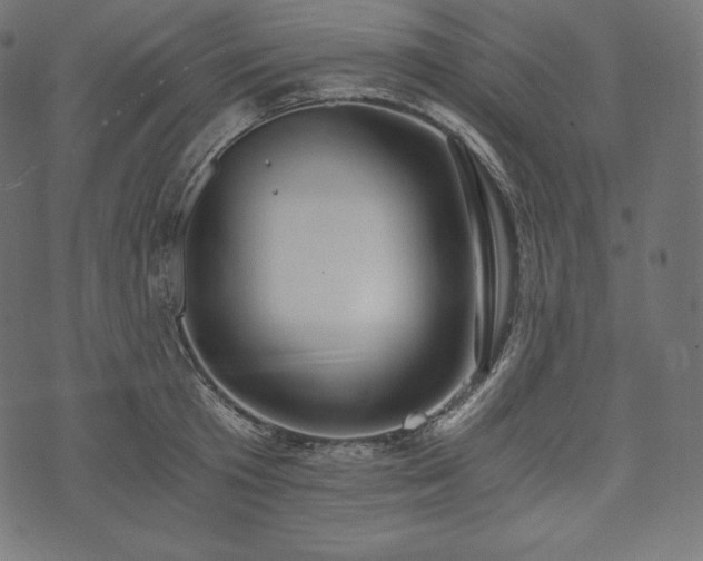 X0000073860801200608170941