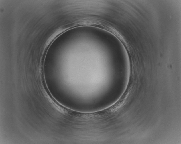 X0000073860803200608170941