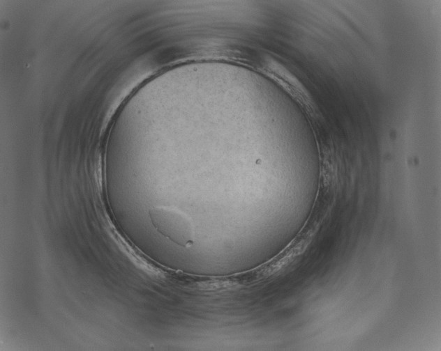 X0000073860804200608170941