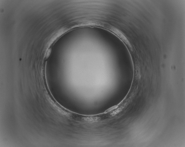 X0000073860805200608170941