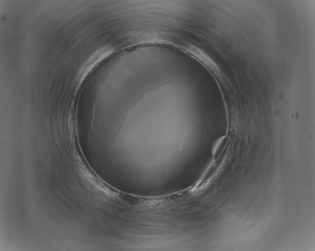 X0000073860806200608170941