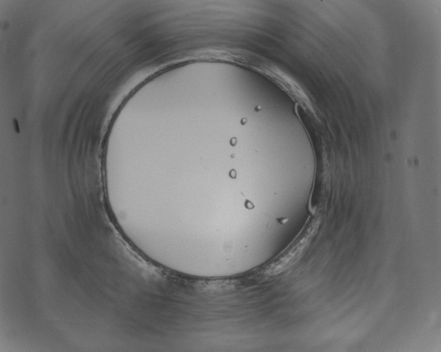 X0000073860808200608170941