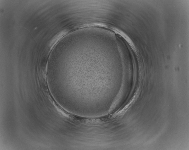 X0000073860809200608170941