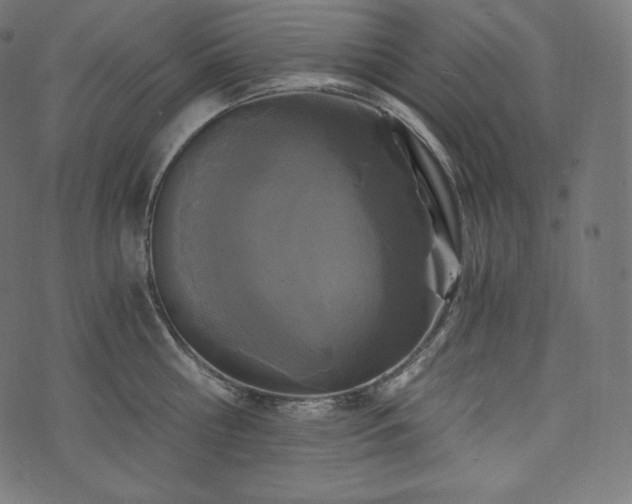 X0000073860810200608170941