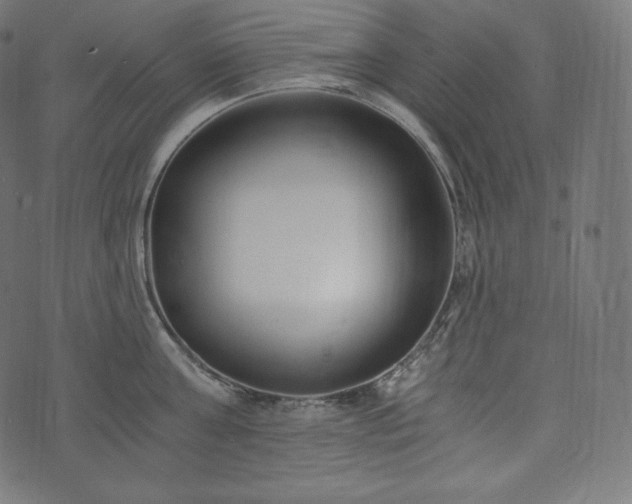 X0000073860811200608170941