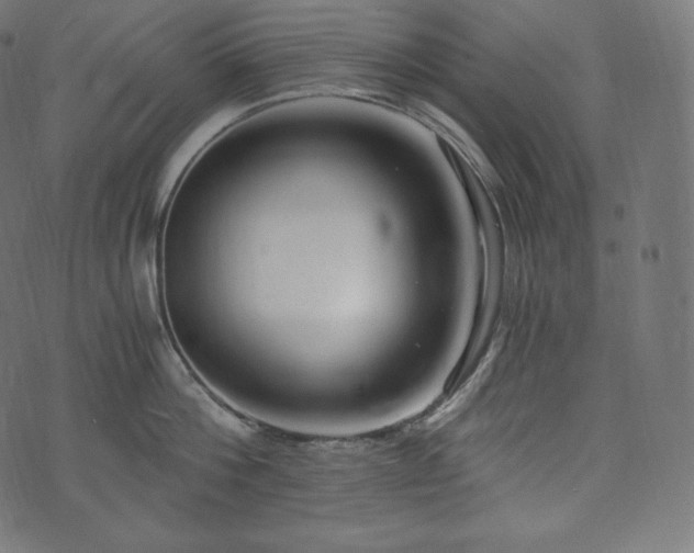 X0000073860812200608170941