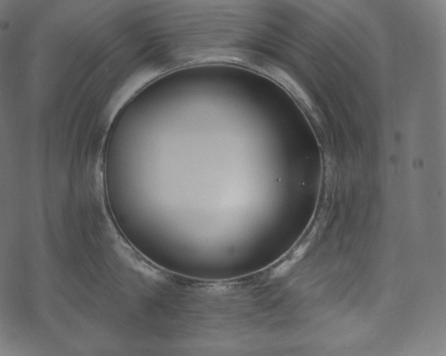 X0000073860814200608170941