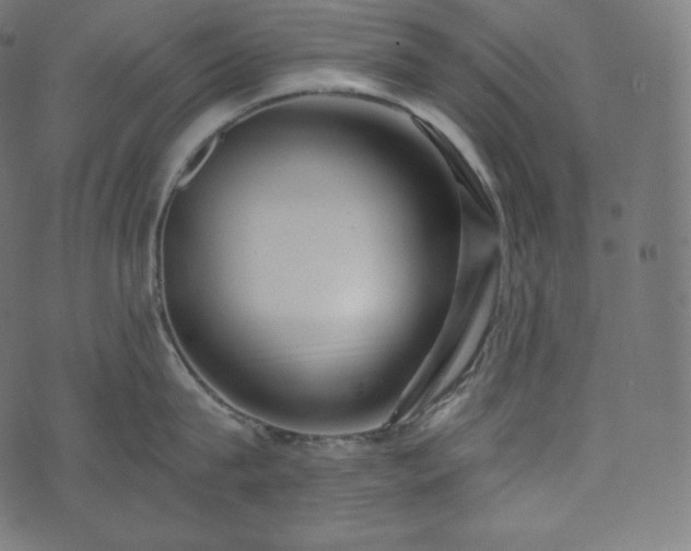 X0000073860815200608170941