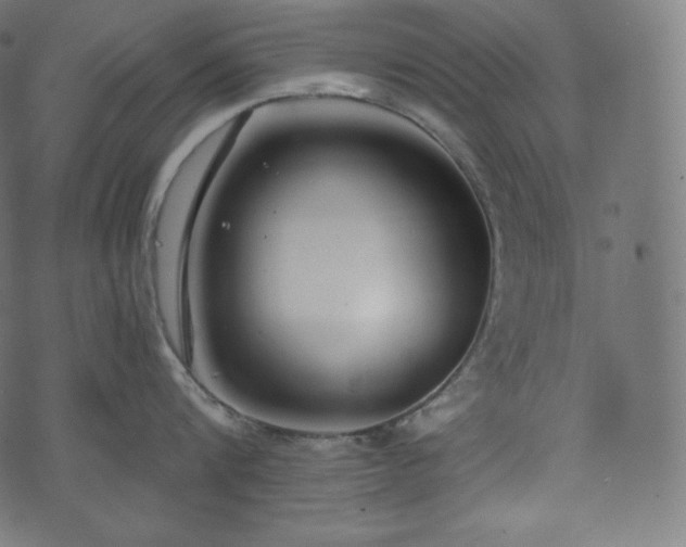 X0000073860816200608170941