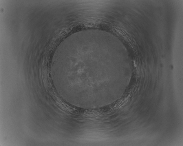 X0000073860817200608170940