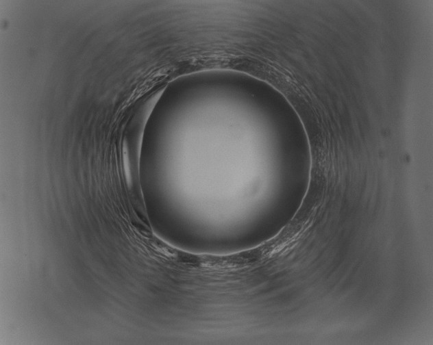 X0000073860818200608170940