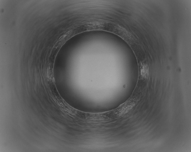 X0000073860819200608170940