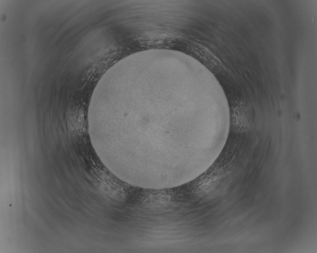 X0000073860820200608170940