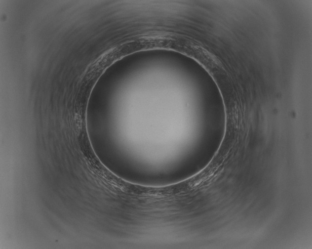 X0000073860821200608170940