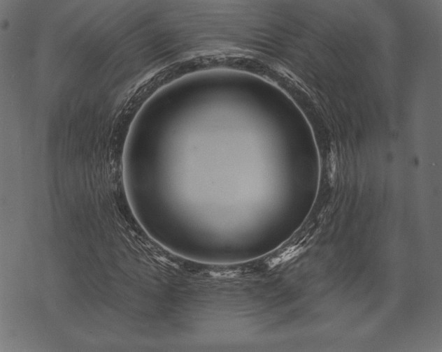 X0000073860822200608170940