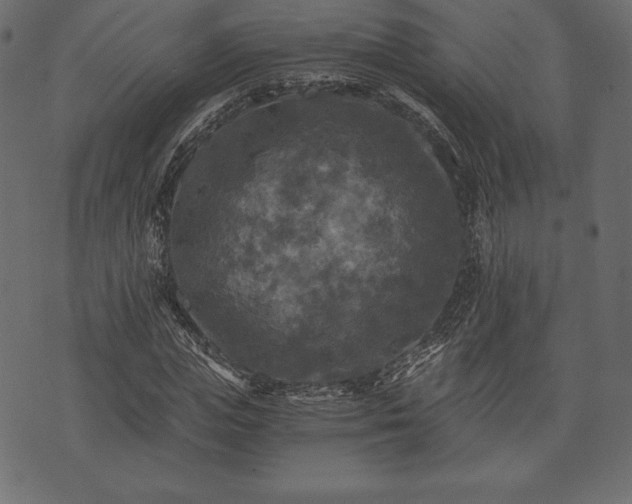 X0000073860823200608170940