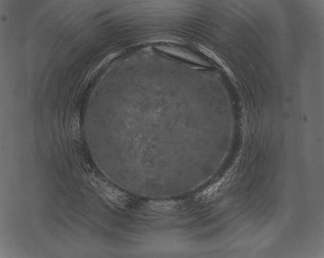 X0000073860825200608170940