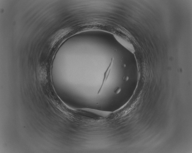 X0000073860826200608170940