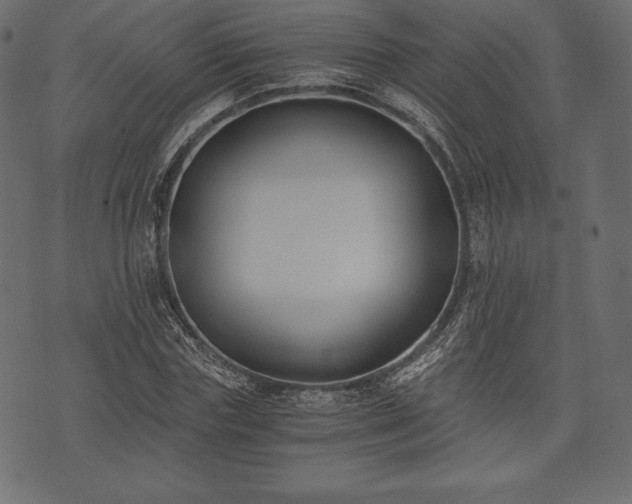 X0000073860827200608170940