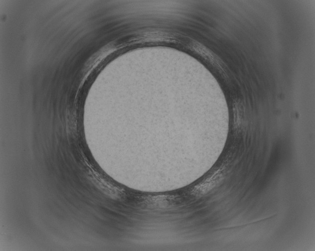 X0000073860828200608170940