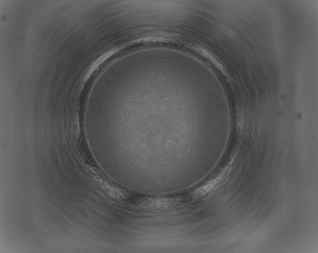 X0000073860829200608170940