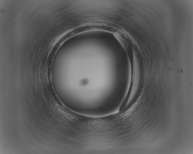 X0000073860830200608170940