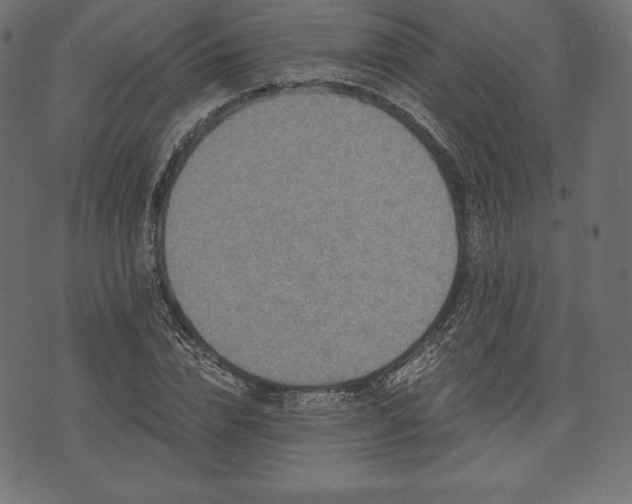 X0000073860832200608170940