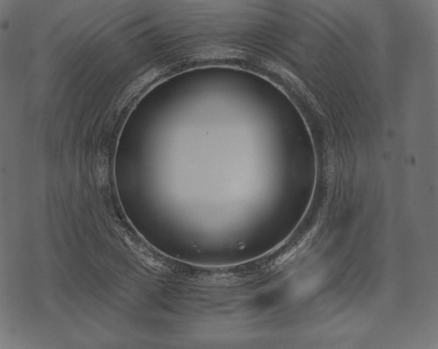 X0000073860833200608170940