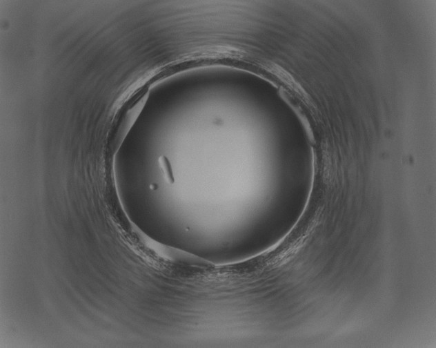 X0000073860834200608170940