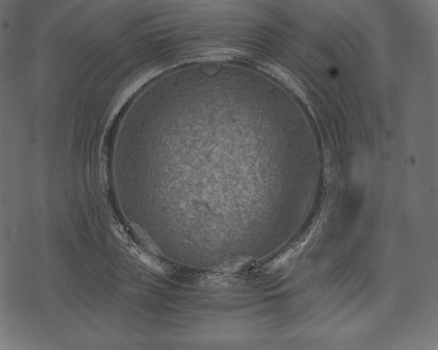 X0000073860835200608170940