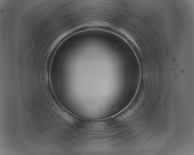 X0000073860837200608170940