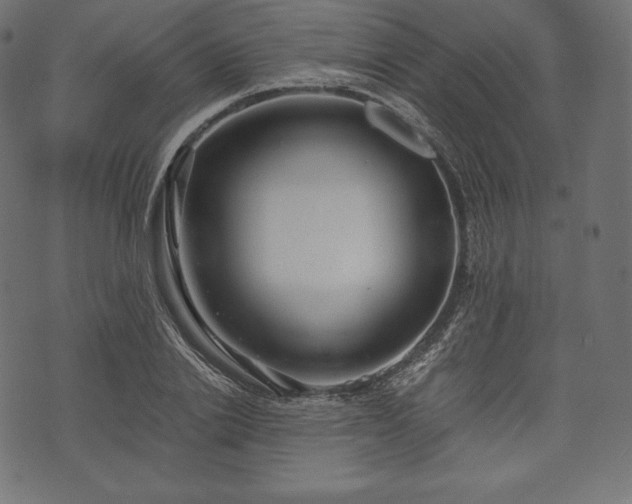 X0000073860838200608170940