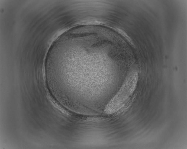 X0000073860840200608170940