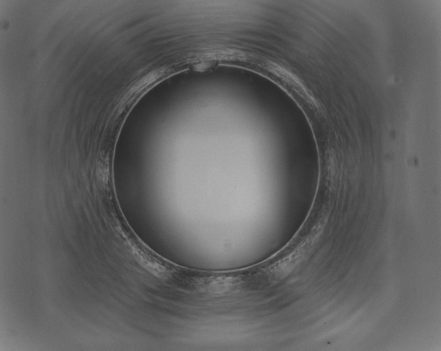 X0000073860841200608170940